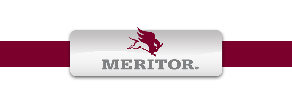 dib u dhiska Meritor kala duwan